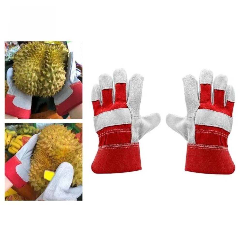 Cut Resistant Glove - Guanti da Giardinaggio in Pelle Bovina