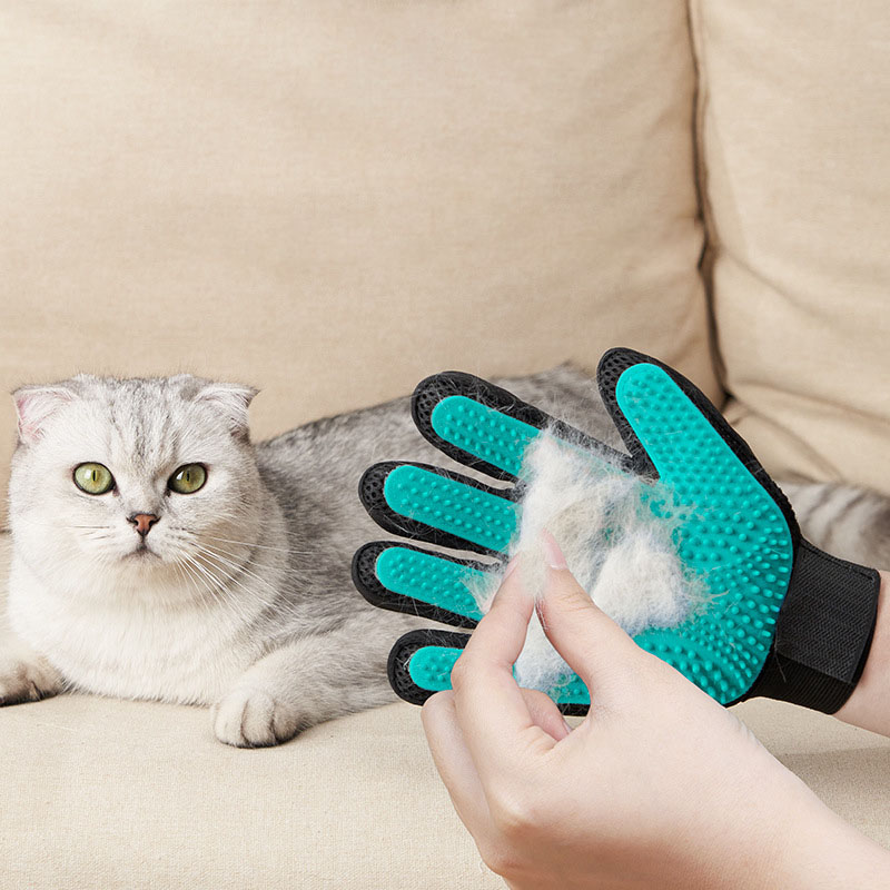 Guanto per Toelettatura Animal - Rubber Glove Cleaning recensione e prezzo
