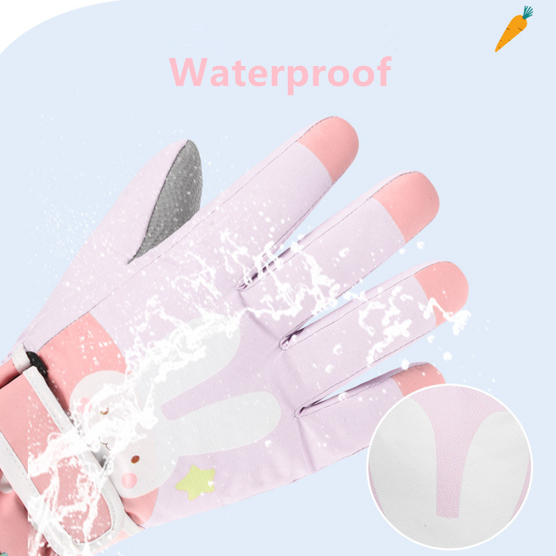 Guanti da sci da neve invernal - Winter Glove Insulated recensione e prezzo